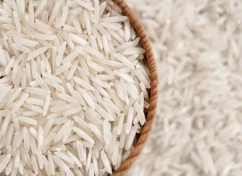 فروش برنج چمپا